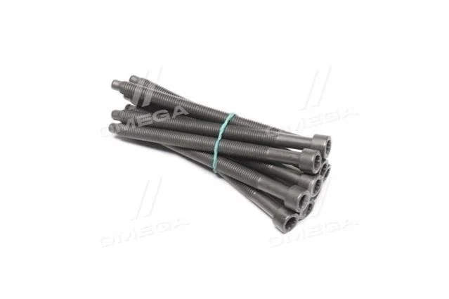 <strong>Комплект болтів двигуна з фігурною головкою Payen HBS300 (фото 1)</strong>