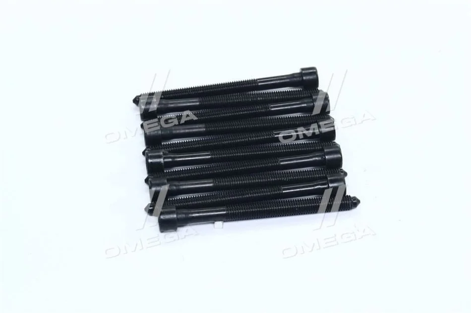 <strong>Комплект болтів двигуна з фігурною головкою Payen HBS476 (фото 1)</strong>