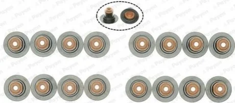 Комплект сальників клапанів для Renault, Nissan, Vauxhall, Opel, Lada Payen HR5145 фото товару