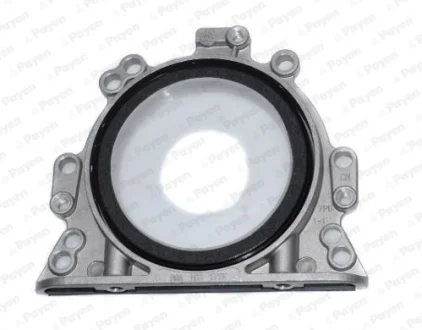 PAYEN VW сальник к/вала задн (з корпусом.) AUDI, SEAT, SKODA для Payen LK5003 фото товару