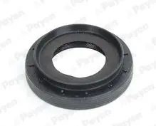 <strong>PAYEN RENAULT сальник дифферинциала 55*33*13мм CAPTUR II TCe 100, DUSTER, FLUENCE 05-, NISSAN, DACIA Payen NA5494 (фото 1)</strong>