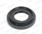 <strong>PAYEN RENAULT сальник дифферинциала 55*33*13мм CAPTUR II TCe 100, DUSTER, FLUENCE 05-, NISSAN, DACIA Payen NA5494 (фото 1)</strong>