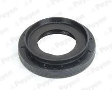 PAYEN RENAULT сальник дифферинциала 55*33*13мм CAPTUR II TCe 100, DUSTER, FLUENCE 05-, NISSAN, DACIA для Payen NA5494 фото товару