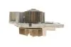 <strong>Комплект ременя ГРМ з помпою води Peugeot/Citroen 1610278280 (фото 8)</strong>