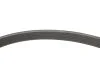 <strong>Комплект доріжкових пасків Peugeot/Citroen 1687977080 (фото 9)</strong>