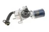 <strong>КОРПУС ОЛІЇ. Peugeot/Citroen 9826074680 (фото 6)</strong>
