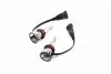 <strong>Комплект світлодіодних автоламп PHILIPS 11366U51X2 (фото 4)</strong>