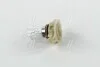 <strong>Автолампа PSX24W 12V 24W PG20/7 (1 шт. в упаковці) PHILIPS 12276 C1 (фото 1)</strong>