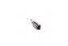 <strong>Лампа розжарювання H21W 12V 21W BAY9s (вир-во Philips) PHILIPS 12356CP (фото 1)</strong>