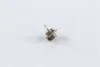 <strong>Лампа розжарювання BAX BX8,4d Beige 12V 1.8W (вир-во Philips) PHILIPS 12629CP (фото 4)</strong>