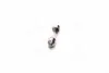 <strong>Лампа розжарювання 12 [В] C5W Vision 5W цоколь SV8,5 PHILIPS 12844CP (фото 4)</strong>