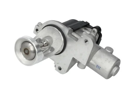 Клапан рециркуляції газів для Volkswagen, Audi, Skoda PIERBURG 7.00365.06.0 фото товару