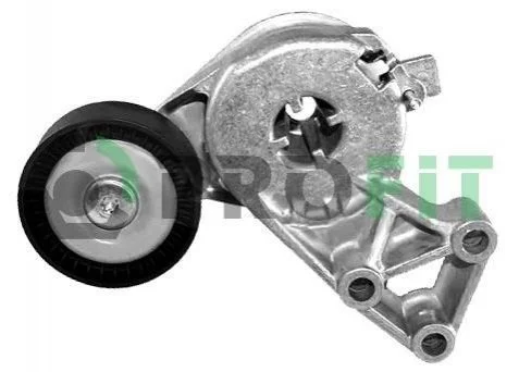 <strong>Роликовий модуль натягувача ременя PROFIT 1014-0076 (фото 1)</strong>