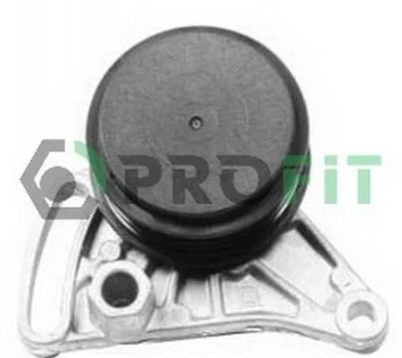<strong>Ролик модуля натягувача ременя PROFIT 1014-0309 (фото 1)</strong>
