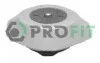 <strong>Опора КПП гумометалева PROFIT 1015-0209 (фото 1)</strong>