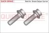 <strong>Болти кріплення гальм. дисків QUICK BRAKE 11630K (фото 1)</strong>