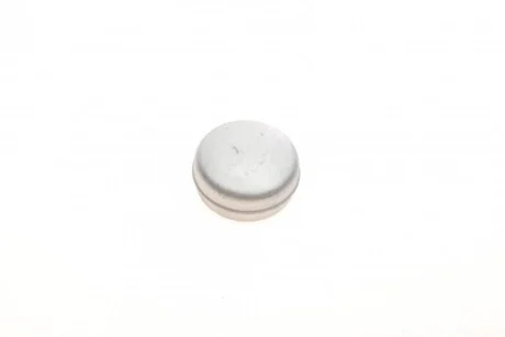 Захисна кришка маточини колеса для QUICK BRAKE 9821 фото товару