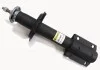 <strong>Амортизатор передній Citroen C25, Fiat Ducato,Talento, Peugeot J5 81-94 (масл.) RAISO RS110431 (фото 1)</strong>