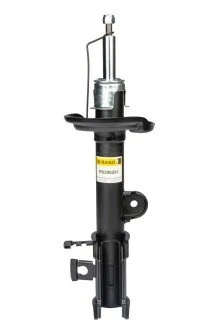 Амортизатор задній Compass 17- Л. (газ.) для RAISO RS290261 фото товара