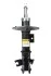 <strong>Амортизатор передній лів, Volvo S40/V40 95-04 (газ,) RAISO RS310839 (фото 1)</strong>