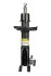 <strong>Амортизатор передній лів. Honda Civic VIII 05- RAISO RS314618 (фото 1)</strong>