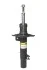 <strong>Амортизатор передній лівий Citroen C3 II/C4 Cactus 09- (газовий) RAISO RS315445 (фото 1)</strong>
