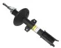 <strong>Амортизатор передній Duster (4x4) 10- RAISO RS316289 (фото 1)</strong>