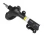 <strong>Амортизатор передній лів. Hyundai Santa Fe I, Santa Fe II 04-12 (газ.) RAISO RS316710 (фото 1)</strong>