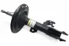 <strong>Амортизатор передній пр. Toyota Camry 06- RAISO RS317117 (фото 1)</strong>