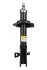 <strong>Амортизатор передній лів. Mazda CX-7 06-14 RAISO RS317306 (фото 1)</strong>