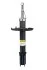 <strong>Амортизатор передній Logan/Sandero 13- RAISO RS317418 (фото 1)</strong>