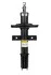 <strong>Амортизатор передній Renault Clio III/Clio IV 06- RAISO RS317423 (фото 1)</strong>