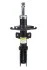 <strong>Амортизатор передній Citroen Jumpy/Opel Vivaro C/Peugeot Expert 16- RAISO RS319556 (фото 1)</strong>