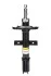 <strong>Амортизатор передній Renault Captur I 13- RAISO RS3338008 (фото 1)</strong>