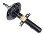 <strong>Амортизатор передній Renault Grand Scenic IV/Megane IV/Scenic IV 15- RAISO RS3348087 (фото 1)</strong>