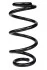 <strong>Пружина передня AUDI A4 B8, A5, A6 C7 2.7D/3.0D (286*15*138) RAISO SF098TP (фото 2)</strong>