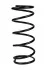 <strong>Пружина передня Lada 2108/2110 8кл. RAISO SF110TP (фото 1)</strong>