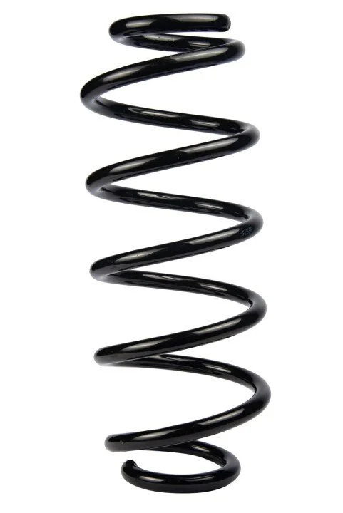 <strong>Пружина передня Audi A4 B5 95-01 (361*13,5*137) RAISO SF120TP (фото 1)</strong>