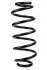 <strong>Пружина передня Audi A4 B5 95-01 (361*13,5*137) RAISO SF120TP (фото 1)</strong>