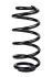<strong>Пружина передня Audi A4 B6/B7 00-08 (316*15*139) RAISO SF122TP (фото 1)</strong>