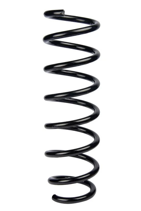 <strong>Пружина перед. BMW 5 (F10, F11, F18) 10- RAISO SF132TP (фото 1)</strong>