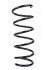<strong>Пружина передня Duster 10-18 (388*12,3*144) RAISO SF141TP (фото 1)</strong>