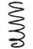 <strong>Пружина передня Fiat Fiorino 07- (360*12,25*143) RAISO SF148TP (фото 1)</strong>