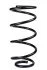 <strong>Пружина передня Ford C-Max/Focus C-Max 03-10 (352*13,5*157) RAISO SF169TP (фото 1)</strong>
