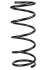 <strong>Пружина передня Ford Focus I 98-05 (384*12,5*150) RAISO SF178TP (фото 1)</strong>