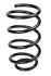 <strong>Пружина передня Ford Kuga I 08-12 (310*15*161) RAISO SF189TP (фото 1)</strong>