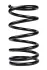 <strong>Пружина передня Transit 00-06 (360*18*185) RAISO SF202TP (фото 1)</strong>