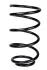 <strong>Пружина передня Rio II/Accent III 05-11 (325*13,7*167) RAISO SF209TP (фото 1)</strong>