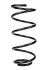 <strong>Пружина передня Volvo S40 II,V50 04-12 (370*12,7*157) RAISO SF220TP (фото 1)</strong>