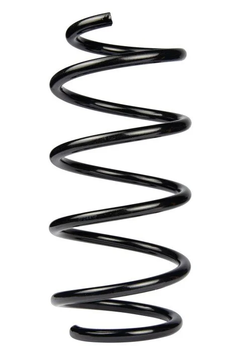 <strong>Пружина передняя Kangoo II 08- (340*14*155) RAISO SF244TP (фото 1)</strong>